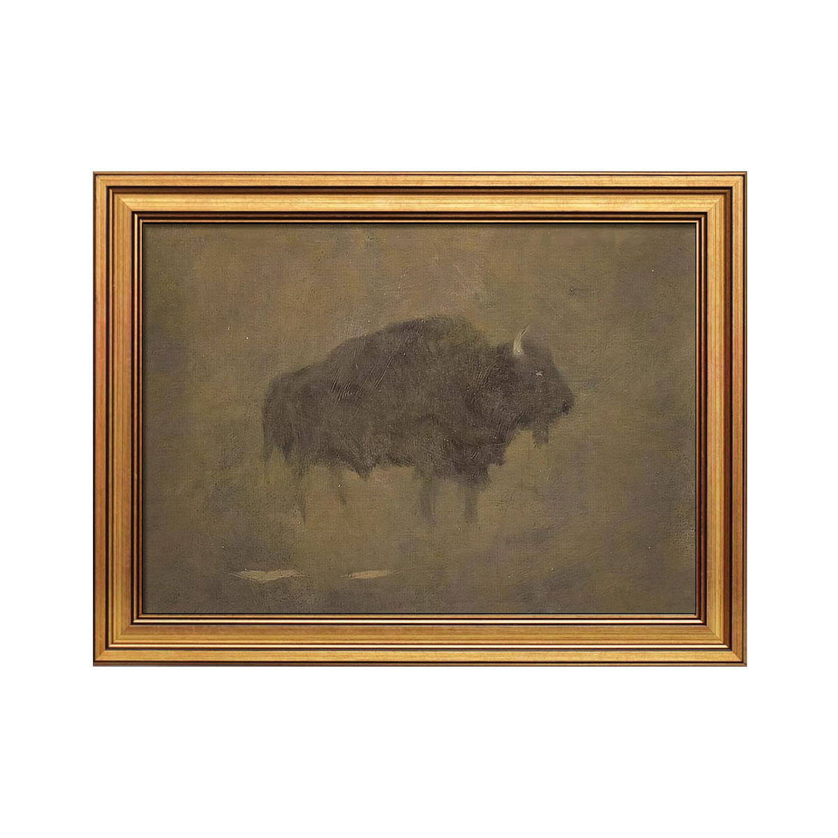 Bison Framed Canvas Wall Art