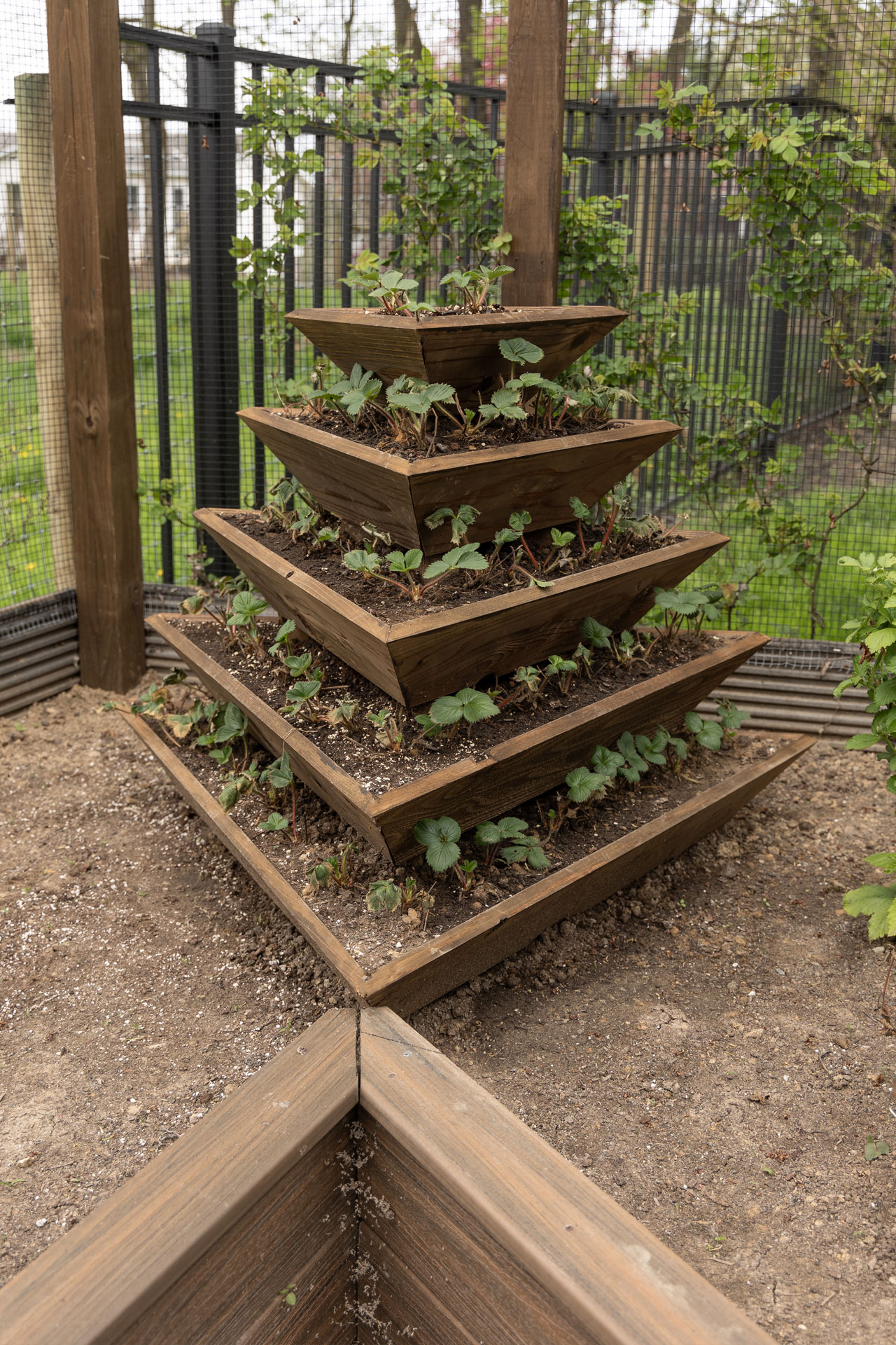 Planting Pyramid How to Build a Pyramid Planter - Hamilton Park Home | Inspiration for ...
